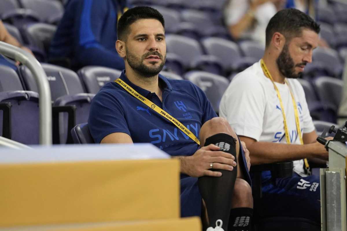 mitrovic