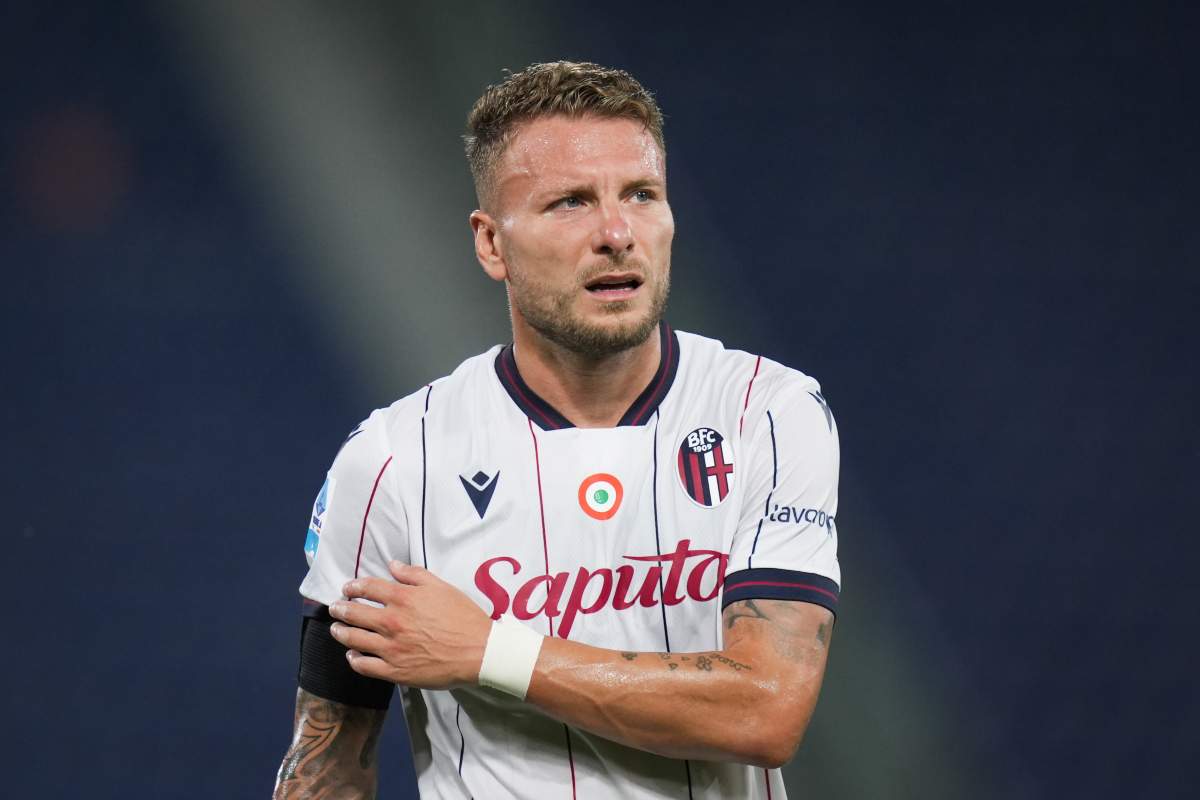 Bologna Immobile