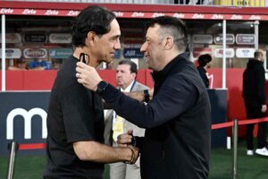 Nesta D'Aversa