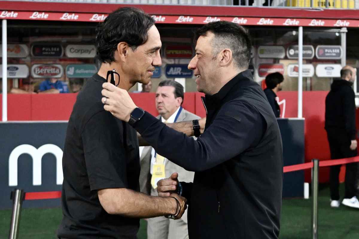 Nesta D'Aversa